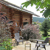La terrasse et les lupins chalet des 2 écureuils