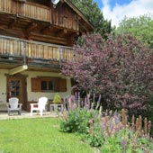 La terrasse et les lupins chalet des 2 écureuils