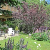 Le jardin chalet des 2 écureuils