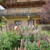 Les lupins chalet des 2 écureuils
