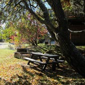 Chalet des 2 Ecureuils - extérieur jardin
