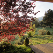 Chalet des 2 Ecureuils - extérieur jardin