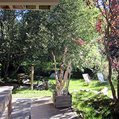 Vue du jardin du chalet des 2 écureuils