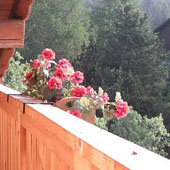La terrasse & le balcon