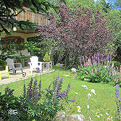 La terrasse & le balcon